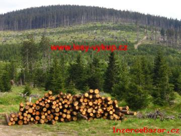 Koupm les, kdekoliv v R