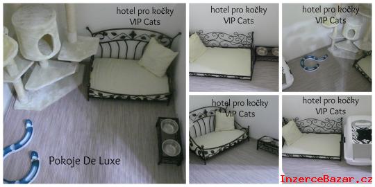 hotel pro koky VIP Cats