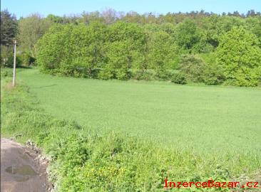 Stavebn pozemek 940 m2 za 950,- K