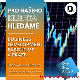 Hledáme Business Development Executive