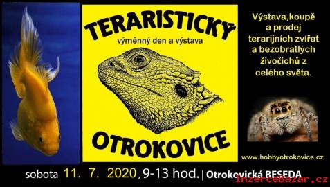 Teraristick vmnn den a vstava, Otro