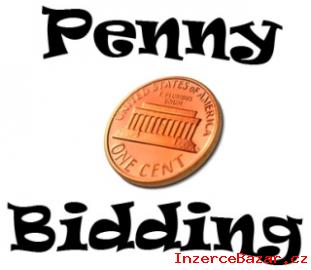 Claim up to 50 Free Bids for #1 Penny Au