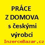 Prce v internetu