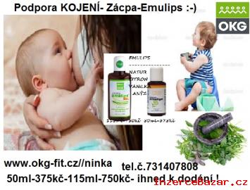 Podpora kojen-Emulips anz-zcpa