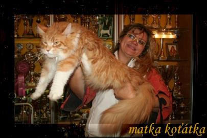 Mainsk mval