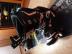 Snowboardov� v�z�n� a boty Westige