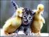 NEDOSTATEK PEN�Z? MINULOST!