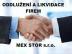 Likvidace a oddlu�en� firmy