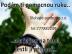 Bez dluh� a exekuc�