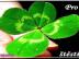 Skv�l� p��le�itost pro ka�d�ho !!!!!!!