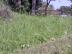 Stavebn� parcela v Poho�elic�ch u Zl�na