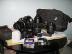 Canon EOS 5D Mark III Kit DSLR fotoapar