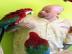 mluv� papou�ek Macaw,