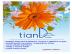 Nov� p��le�itost - TianDe