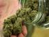 Marihuana ,Bor�vka Kush,Super Skunk,